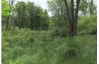 Lake County, Indiana farmland - LAND AUCTION - 147+/- ACRES OFFERED IN 3 TRACTS IN LAKE COUNTY, INDIANA